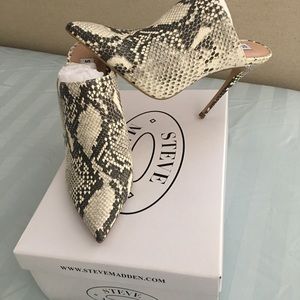Steve Madden Mules Never Worn